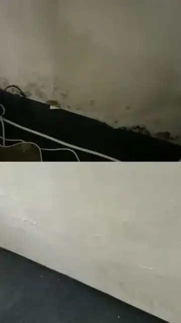곰팡이제거, 3step 시공으로 재발없이 완벽하게 박멸 현장 사진