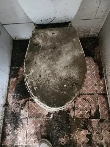 역대급 더러운 화장실 청소 현장 사진
